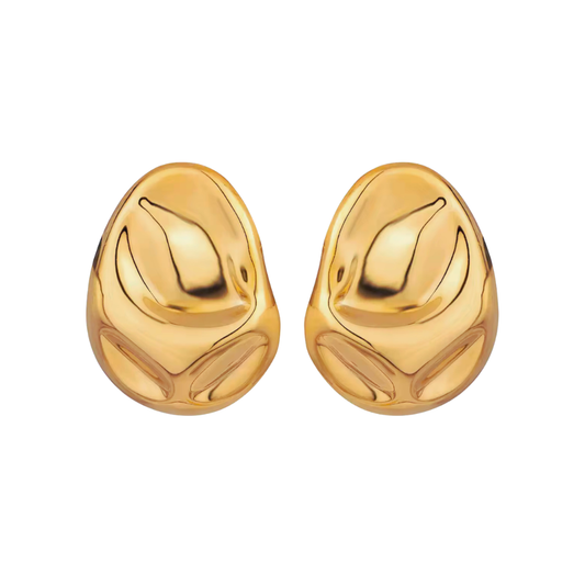 Sculps Earrings